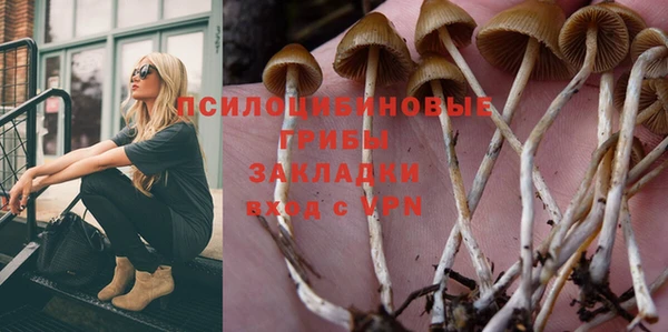 герыч Осинники