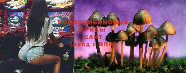герыч Осинники