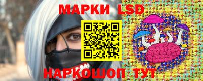 индика Ливны