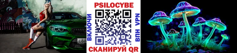 Псилоцибиновые грибы мицелий  Октябрьский 