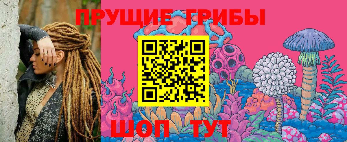 Псилоцибиновые грибы мухоморы Октябрьский